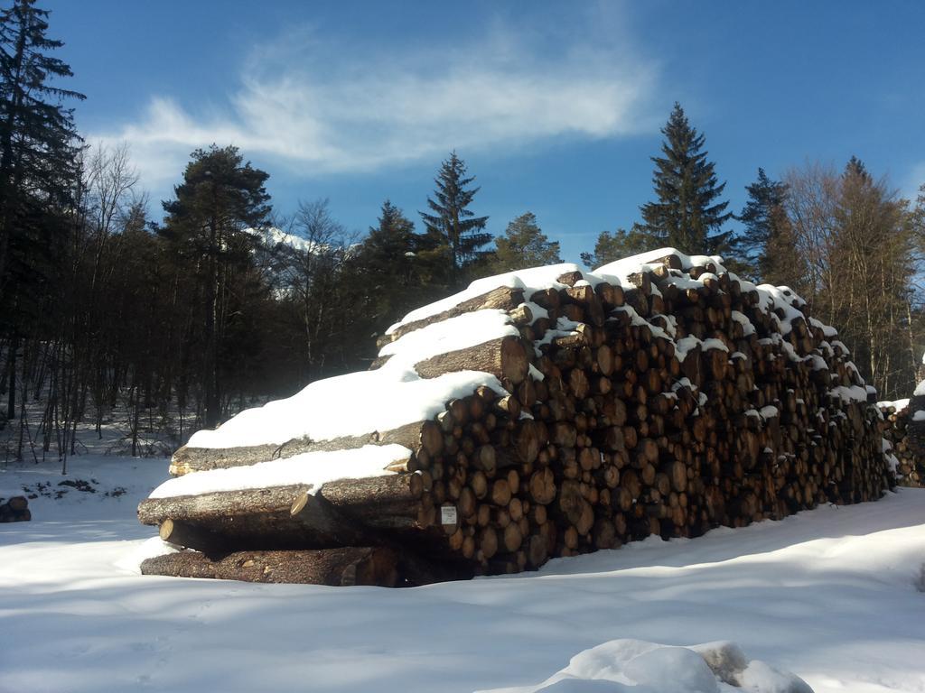 Appartamenti La Val Andalo Exteriér fotografie