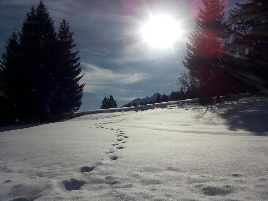 Appartamenti La Val Andalo Exteriér fotografie